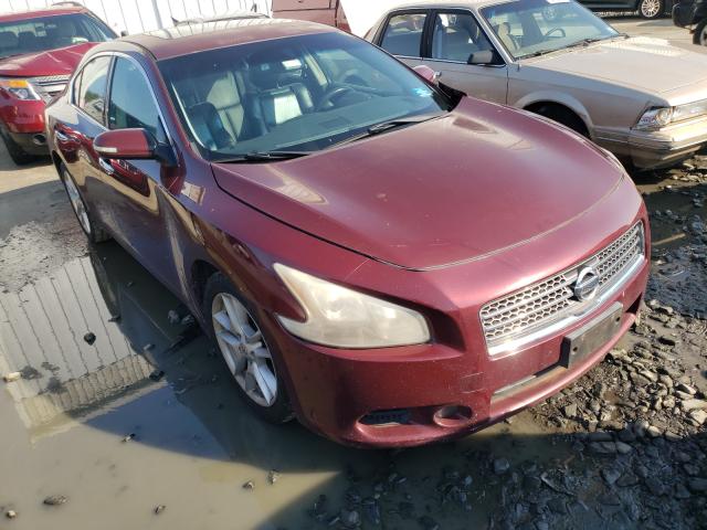 Photo 1 from auction – 2009 NISSAN MAXIMA S with VIN 1N4AA51E09C853959