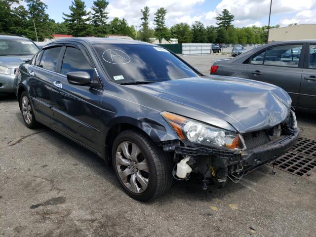 HONDA ACCORD EXL 2008 with VIN 1HGCP36828A014741 - Photo from auction