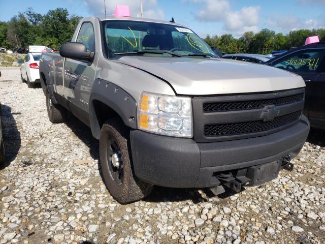 CHEVROLET SILVERADO 2008 with VIN 1GCEK14C28E128586 - Photo from auction
