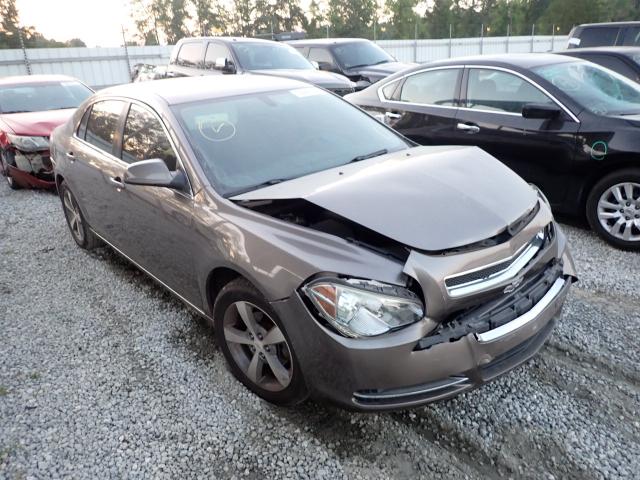 CHEVROLET MALIBU 1LT 2011 with VIN 1G1ZC5EU3BF158249 - Photo from auction