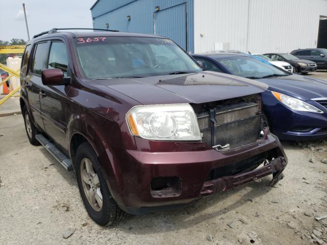 HONDA PILOT EXL 2011 with VIN 5FNYF4H60BB057479 - Photo from auction