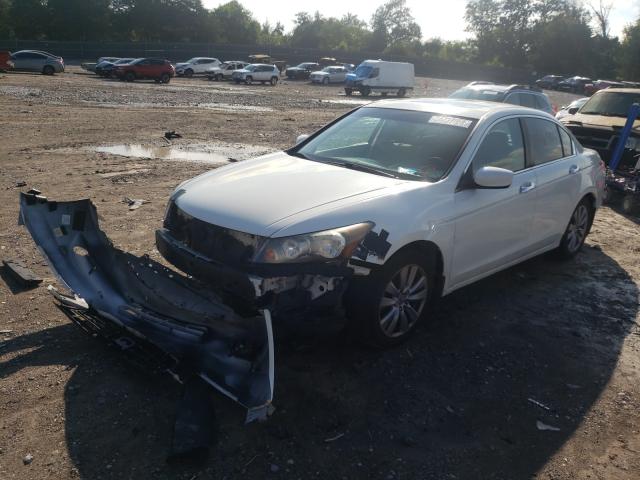 Photo 2 from auction – 2011 HONDA ACCORD EXL with VIN 1HGCP3F82BA027206