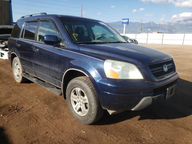 HONDA PILOT EX 2004 with VIN 2HKYF18484H529333 - Photo from auction