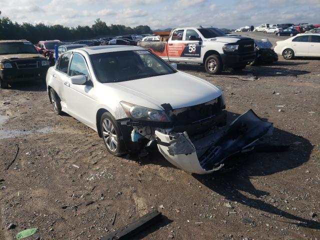 HONDA ACCORD EXL 2011 with VIN 1HGCP3F82BA027206 - Photo from auction