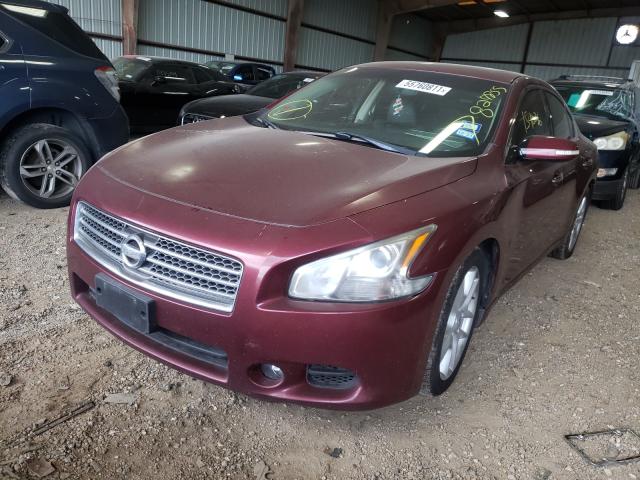Photo 2 from auction – 2011 NISSAN MAXIMA S with VIN 1N4AA5AP2BC827855