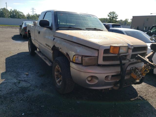 DODGE RAM 1500 2001 with VIN 3B7HF13Y11G794917 - Photo from auction