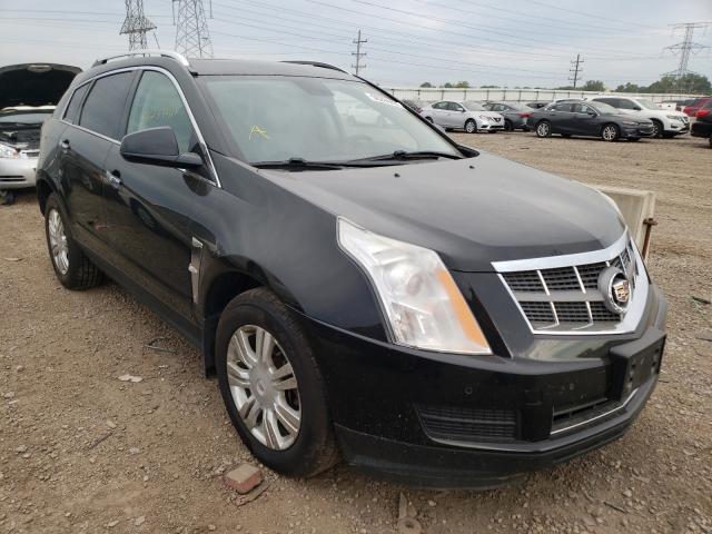CADILLAC SRX LUXURY 2011 with VIN 3GYFNDEY4BS577878 - Photo from auction