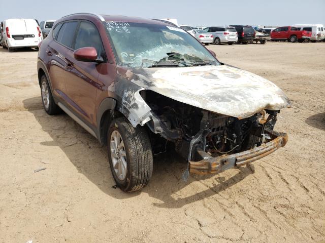 HYUNDAI TUCSON LIM 2017 with VIN KM8J3CA43HU260732 - Photo from auction