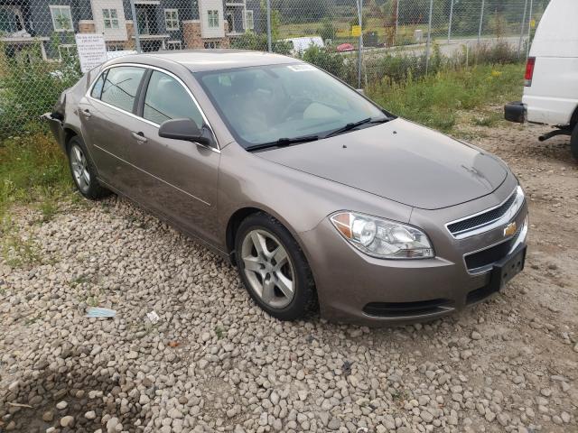 CHEVROLET MALIBU LS 2012 with VIN 1G1ZB5E04CF187292 - Photo from auction