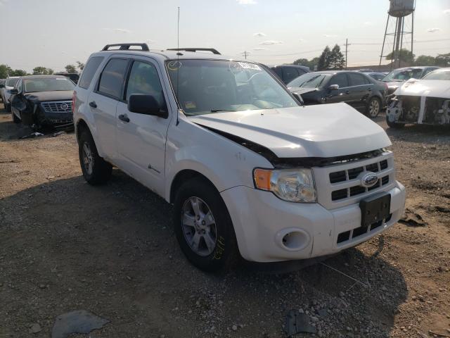 FORD ESCAPE HYB 2009 with VIN 1FMCU59349KA48965 - Photo from auction