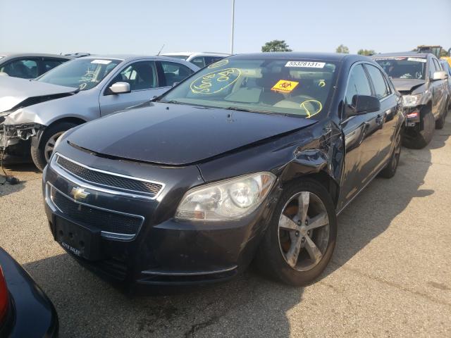 Photo 2 from auction – 2011 CHEVROLET MALIBU 1LT with VIN 1G1ZC5EU1BF148044