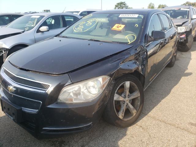 Photo 9 from auction – 2011 CHEVROLET MALIBU 1LT with VIN 1G1ZC5EU1BF148044