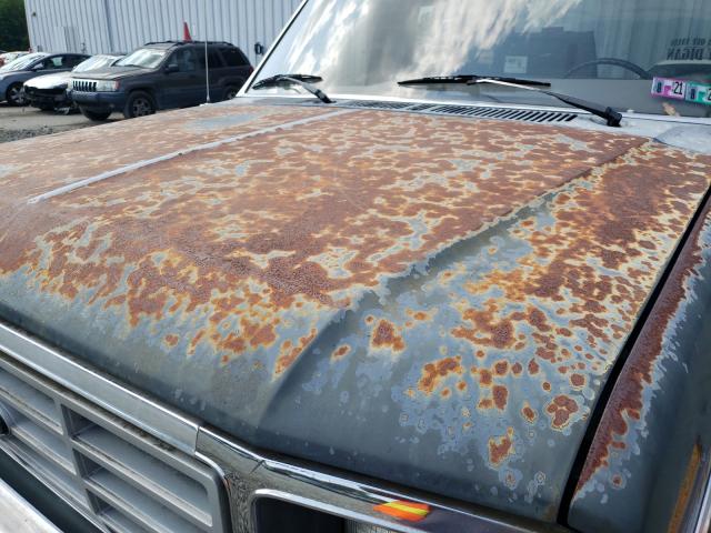 Photo 9 from auction – 1986 FORD F150 with VIN 1FTDF15Y6GNB43830