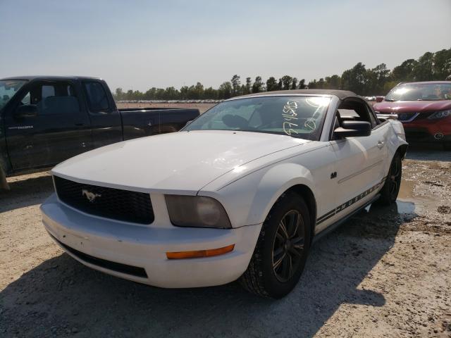 Photo 2 from auction – 2007 FORD MUSTANG with VIN 1ZVFT84N175260536