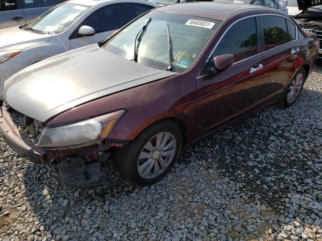 Photo 2 from auction – 2011 HONDA ACCORD EXL with VIN 1HGCP3F85BA015602