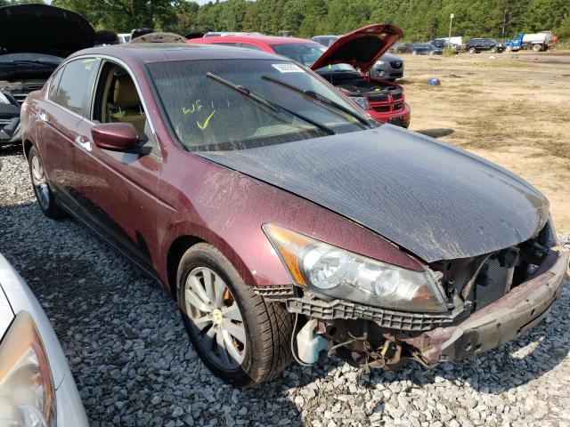HONDA ACCORD EXL 2011 with VIN 1HGCP3F85BA015602 - Photo from auction