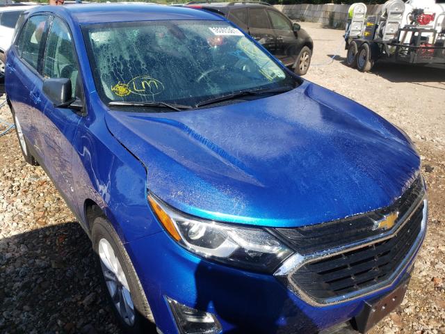 CHEVROLET EQUINOX LS 2019 with VIN 3GNAXHEV3KS566272 - Photo from auction