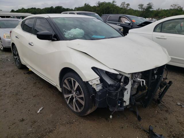 NISSAN MAXIMA 3.5 2016 with VIN 1N4AA6AP5GC441279 - Photo from auction