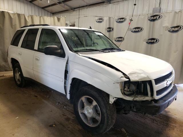 Photo 1 from auction – 2008 CHEVROLET TRAILBLAZE with VIN 1GNDS13S182224738