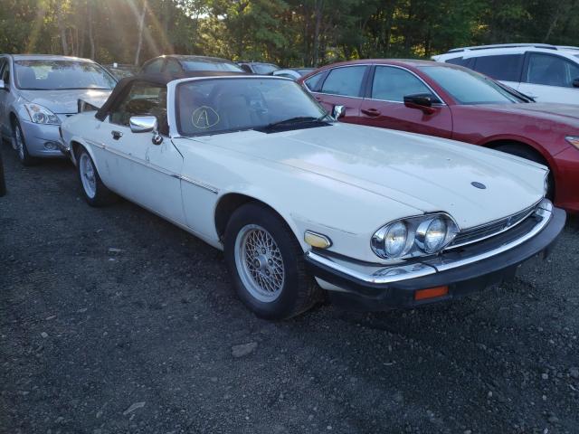 Photo 1 from auction – 1989 JAGUAR XJS with VIN SAJNV4846KC157721