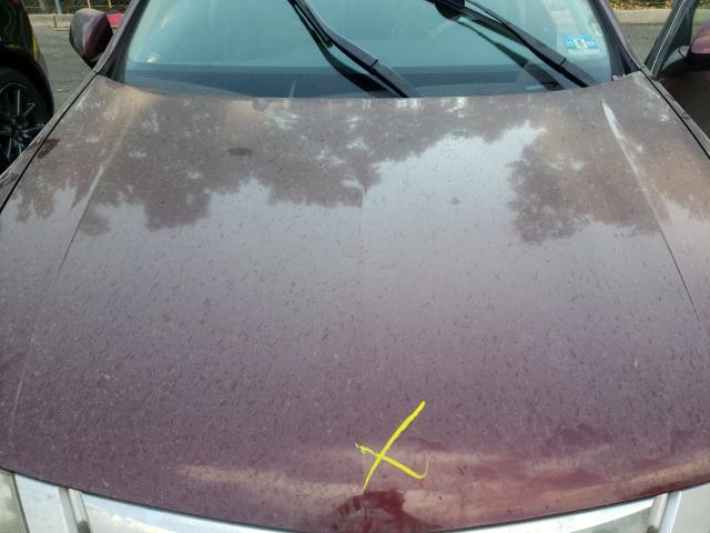 Photo 7 from auction – 2010 ACURA TSX with VIN JH4CU2F68AC025588