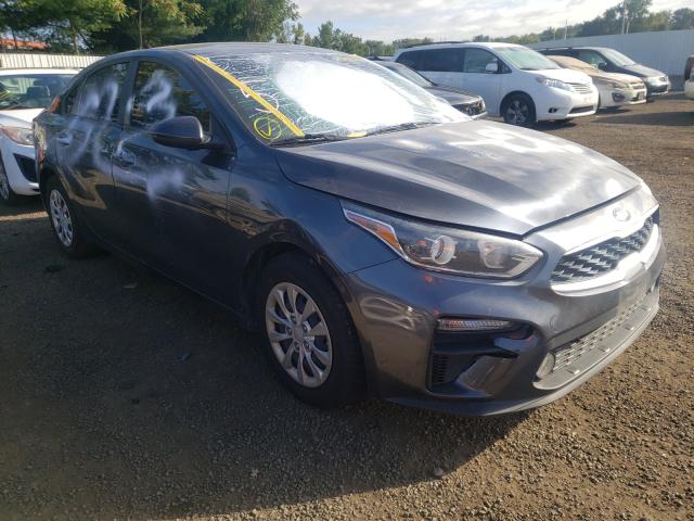 KIA FORTE FE 2019 with VIN 3KPF24AD0KE046029 - Photo from auction