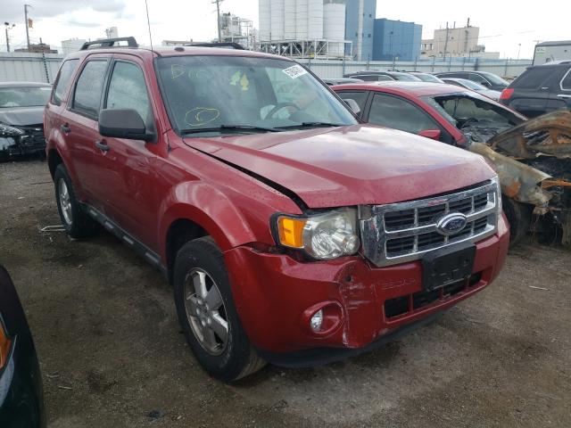 FORD ESCAPE XLT 2011 with VIN 1FMCU0DGXBKA26083 - Photo from auction