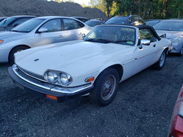 Photo 2 from auction – 1989 JAGUAR XJS with VIN SAJNV4846KC157721