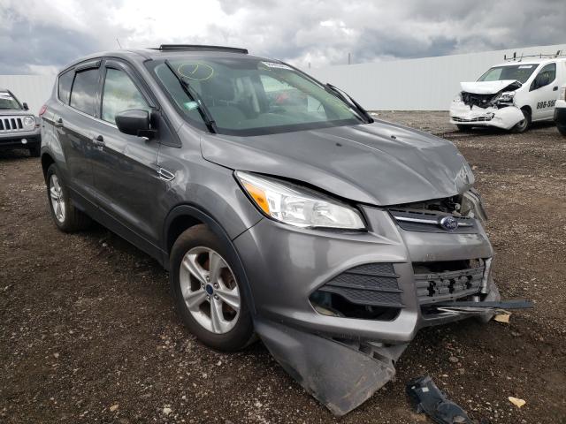 FORD ESCAPE SE 2014 with VIN 1FMCU0GX2EUE37224 - Photo from auction