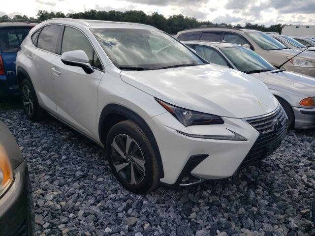 LEXUS NX 300 BAS 2018 with VIN JTJBARBZ3J2155375 - Photo from auction