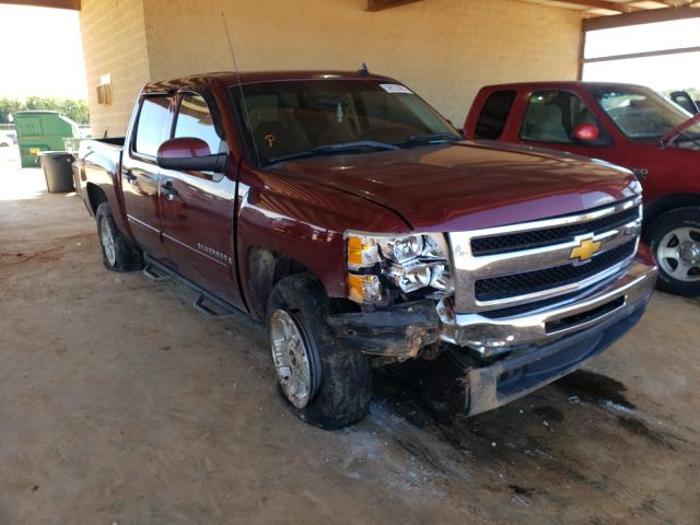 CHEVROLET SILVERADO 2009 with VIN 3GCEK23309G181482 - Photo from auction