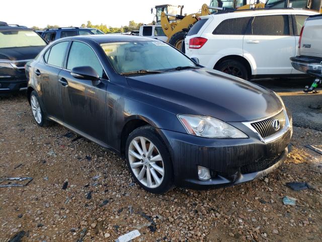 LEXUS IS 250 2009 with VIN JTHCK262X95031945 - Photo from auction