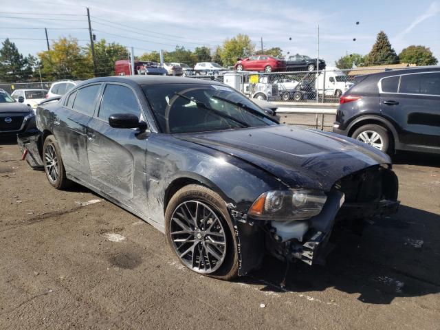 DODGE CHARGER R/ 2013 with VIN 2C3CDXDT1DH738698 - Photo from auction