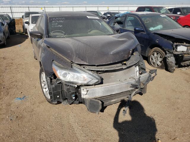 Photo 10 from auction – 2016 NISSAN ALTIMA 2.5 with VIN 1N4AL3AP3GN310476