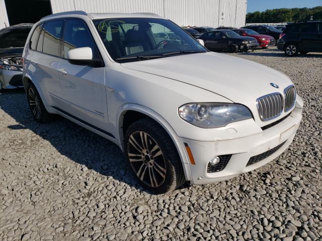 BMW X5 XDRIVE5 2013 with VIN 5UXZV8C53D0C16107 - Photo from auction