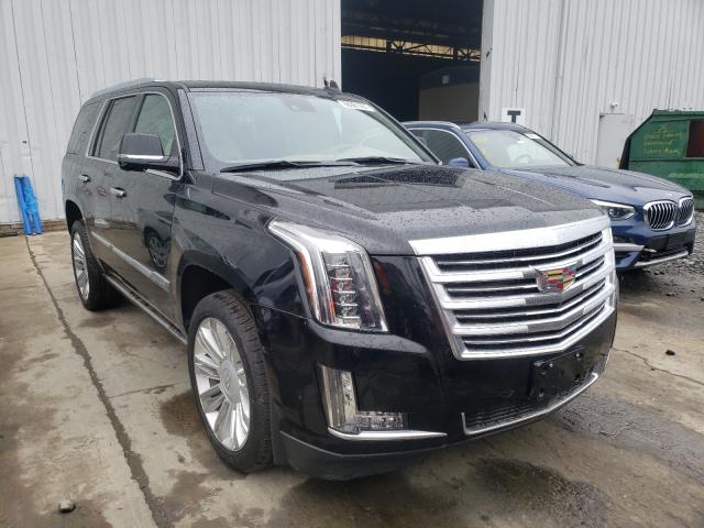 CADILLAC ESCALADE P 2020 with VIN 1GYS4DKJ7LR272291 - Photo from auction