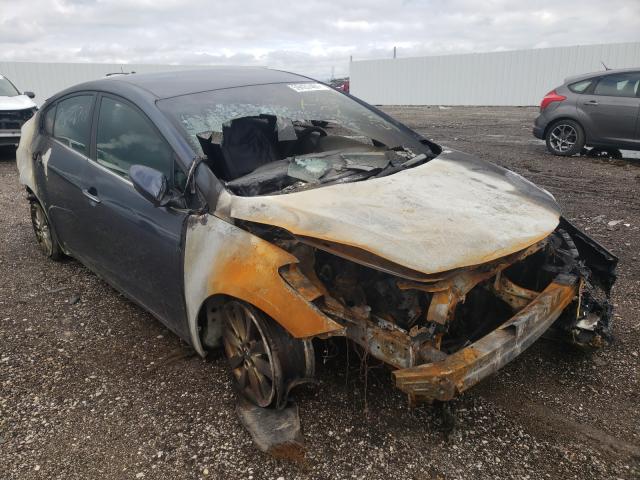 KIA FORTE EX 2014 with VIN KNAFX4A81E5202564 - Photo from auction