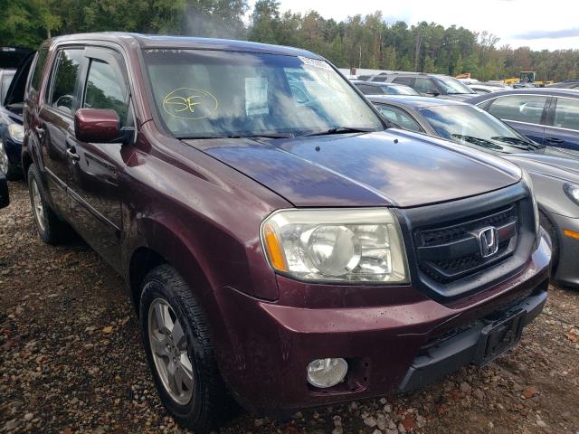 HONDA PILOT EXL 2009 with VIN 5FNYF48549B014782 - Photo from auction
