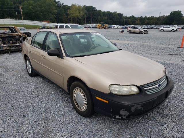 CHEVROLET MALIBU 2001 with VIN 1G1ND52J516122776 - Photo from auction