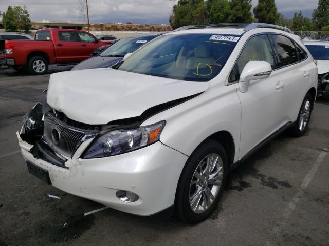 Photo 2 from auction – 2010 LEXUS RX 450 with VIN JTJBC1BA8A2018132