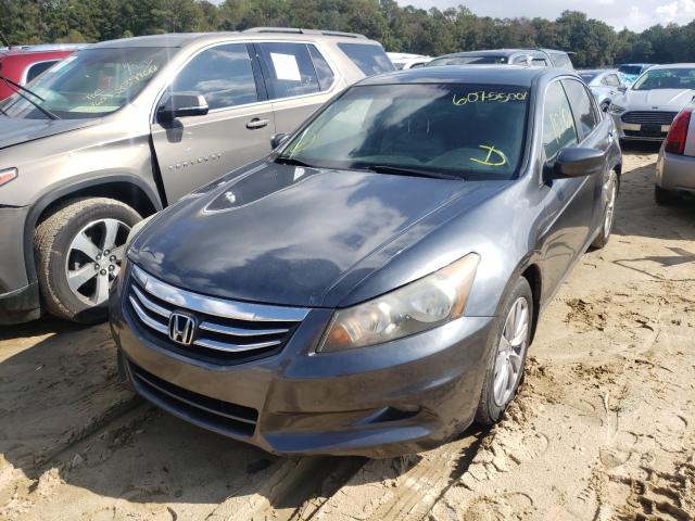 Photo 4 from auction – 2011 HONDA ACCORD EXL with VIN 1HGCP3F84BA011038
