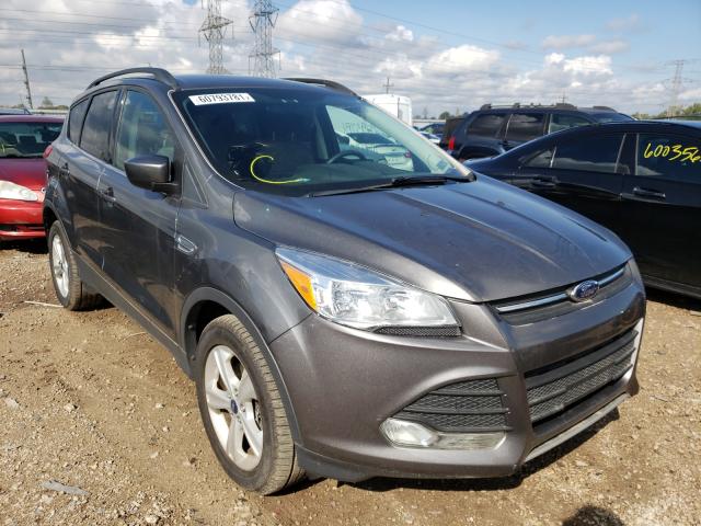 FORD ESCAPE SE 2014 with VIN 1FMCU9G91EUC80419 - Photo from auction