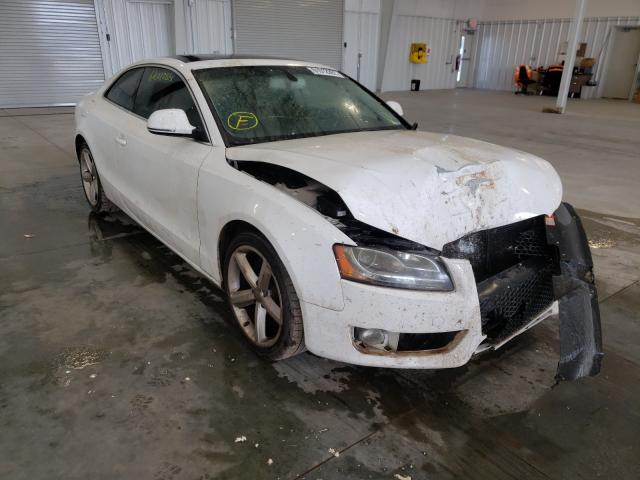 AUDI A5 QUATTRO 2009 with VIN WAUDK78T19A050719 - Photo from auction