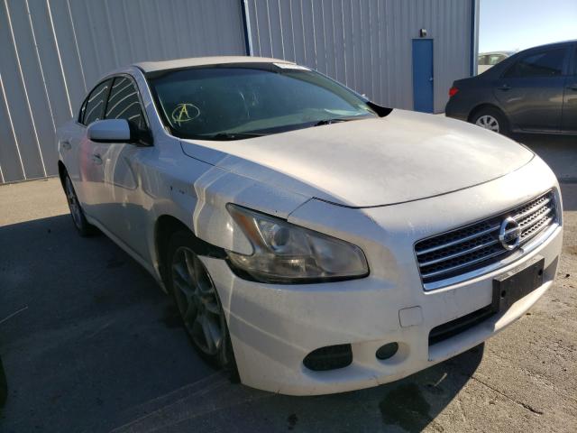 NISSAN MAXIMA 2009 with VIN 1N4AA51E29C823085 - Photo from auction