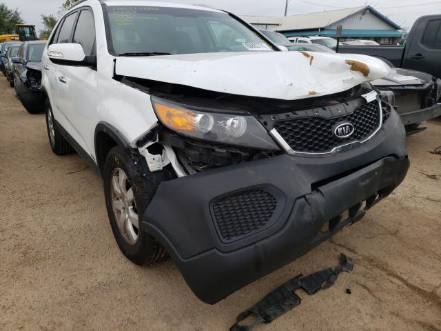 KIA SORENTO LX 2013 with VIN 5XYKTDA28DG405188 - Photo from auction
