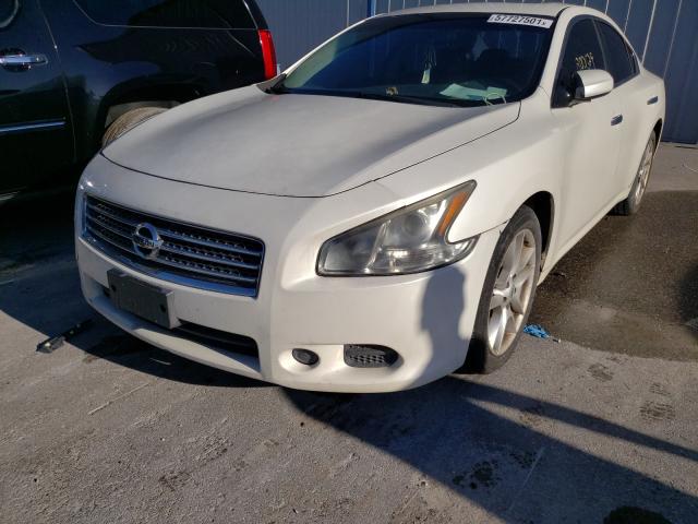 Photo 2 from auction – 2009 NISSAN MAXIMA with VIN 1N4AA51E29C823085
