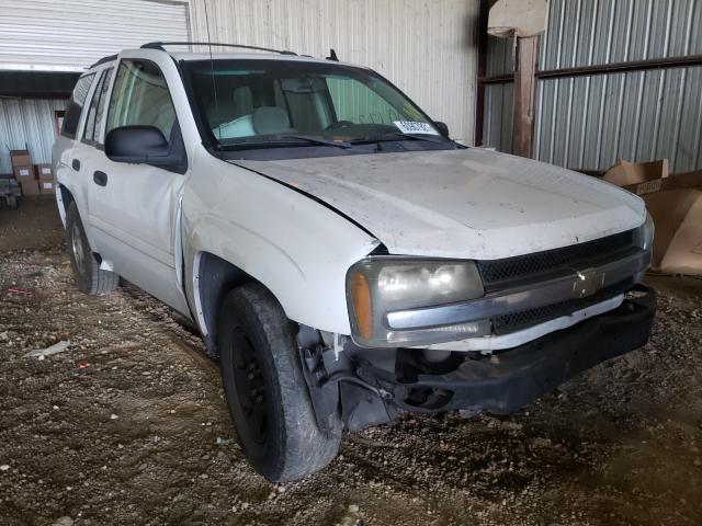 CHEVROLET TRAILBLAZE 2006 with VIN 1GNDS13S362215486 - Photo from auction