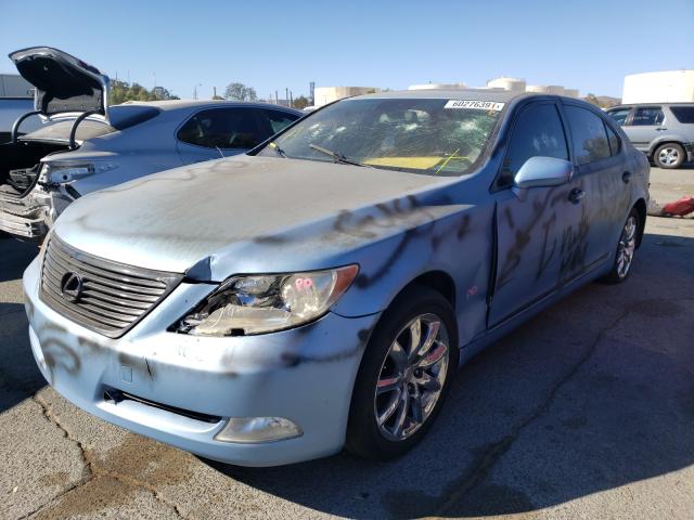 Photo 5 from auction – 2008 LEXUS LS 460L with VIN JTHGL46F885023869