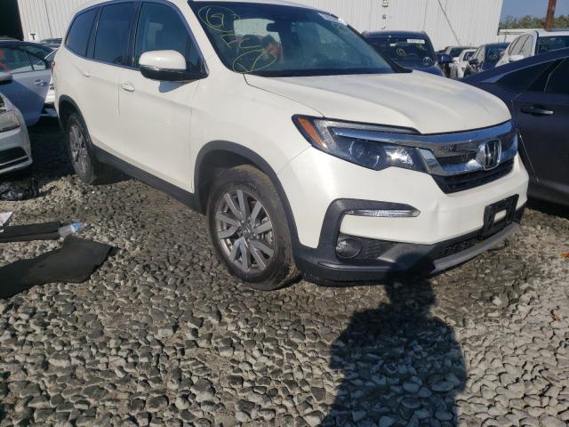 HONDA PILOT EX 2019 with VIN 5FNYF6H34KB081320 - Photo from auction