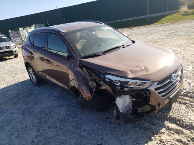 HYUNDAI TUCSON LIM 2017 with VIN KM8J3CA42HU550816 - Photo from auction